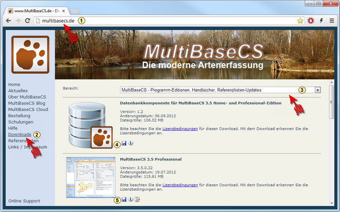Download_MultiBaseCS_Professional_2