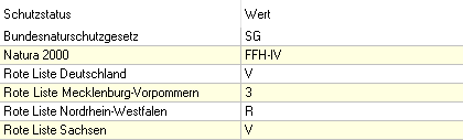 Schutzstatus_Abendsegler