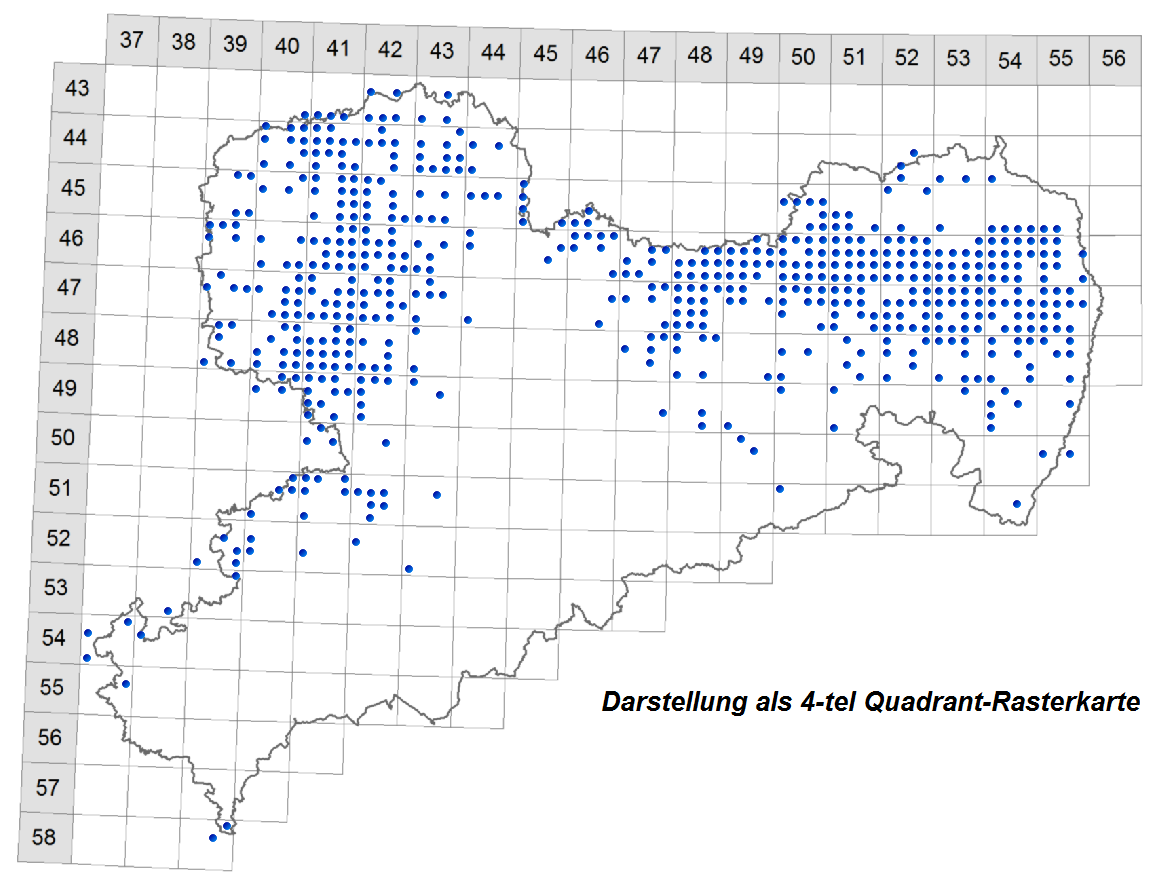 4_tel_Quadrant_Rasterkarte