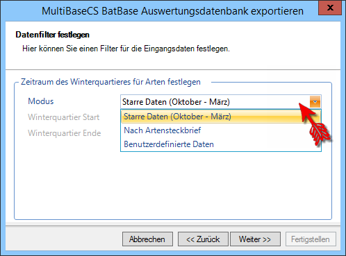 BatBase_ExportAuswertungsdatenbank2