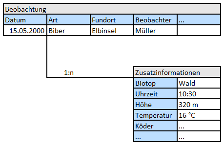 Eingabe_Aufbau_Zusatzfelder