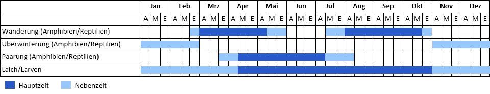 Phaenogramm_Kammmolch